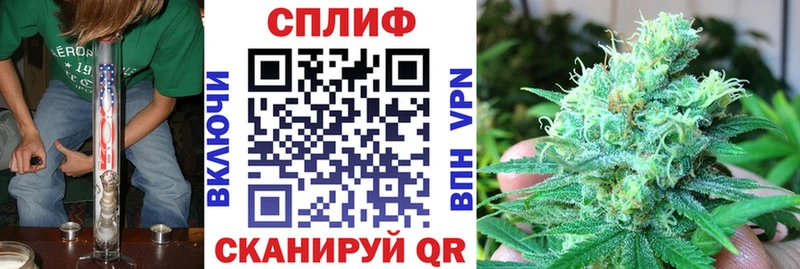 Купить наркотики сайты Жирновск Псилоцибиновые грибы  A PVP  ГАШИШ  Меф  Конопля 