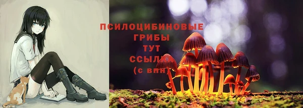 метадон Михайловка
